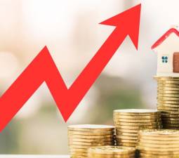 Juros Sobre Diferença de Aluguéis: Quando São Aplicados na Ação Renovatória?